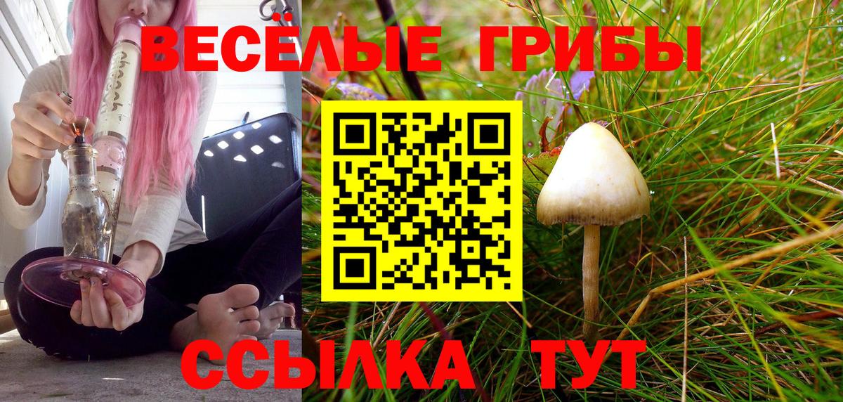 Заречный  купить закладку  Вход с VPN  Галлюциногенные грибы Cubensis  Псилоцибиновые грибы GOLDEN TEACHER 