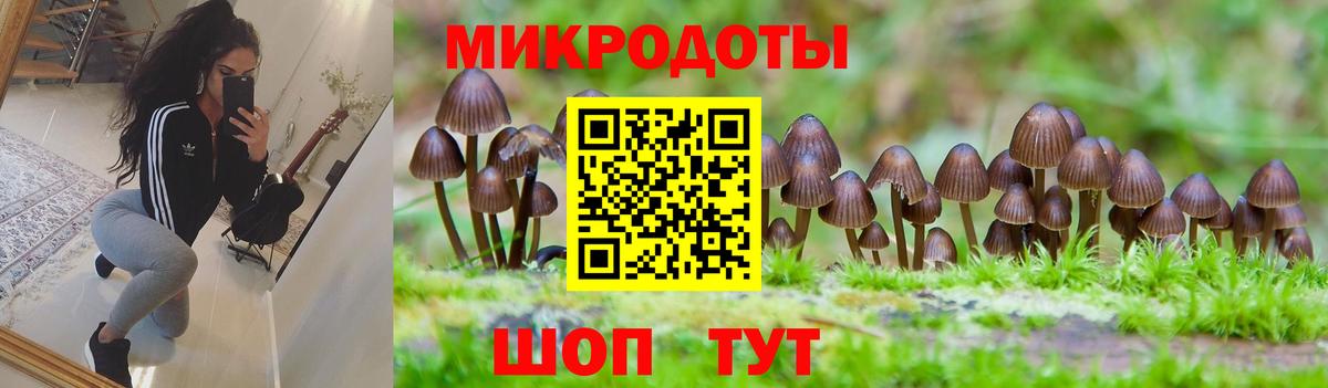 Галлюциногенные грибы Psilocybe Заречный